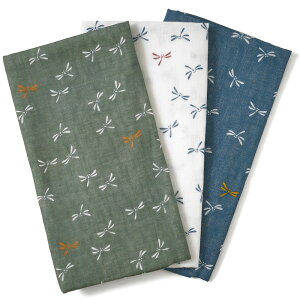 ʂ K[[ Ƃ a ÓT xr[ nJ` K[[nJ` aG {