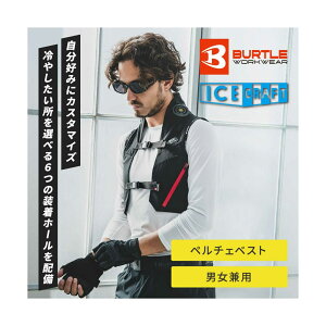 o[gy`FZbgACXNtg[V] GA[Ntg IC101S