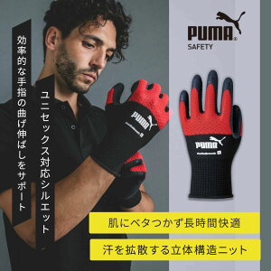 ���j���[���h [�ʔN] PG-1330 PUMA �O���[�u ���W�A���u���X