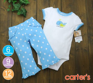 J[^[Y@carterfsy[֑z{fB[X[cpc@E×u[