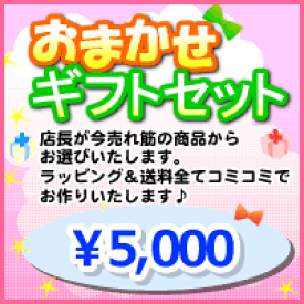 【送料無料】出産祝い用/店長おまかせギフトセット♪5000円【送料無料＆ラッピング込】