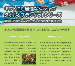 SASSYサッシーバスタオル&ウォッシュタオル/3点セット