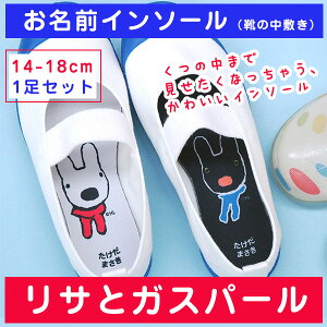 yN[|Lz O C\[ sC\[iC̒~j-TƃKXp[ 14`18cm 1gt C 㗚 ۈ牀 ct wZ  w j̎q ̎q LN^[ G킹 u