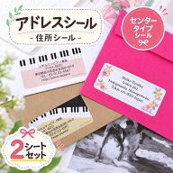 【Dファイルプレゼント】 住所シール アドレスシール《センタータイプシール 2シートセット-オリジナル》…