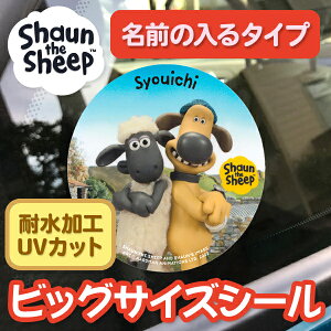 O̓ XebJ[sϐH~l[g rbOTCYV[-Ђ̃V[ ꂠtڈ X[cP[X  PC m[gp\R ^ubg UVJbg 킢 LN^[ 