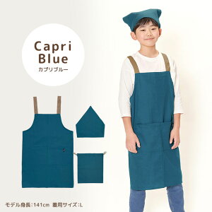 エプロン キッズ 三角巾 3点セット こども おしゃれ かわいい 綿100% コットン 入園入学 かぶり かんたん 簡単 収納袋付き バッグ ポケット お名前タグ ネームタグ 男の子 女の子 小学生 中学