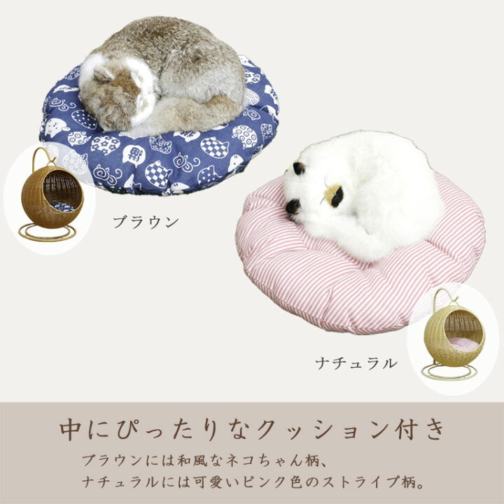 楽天市場】丈夫でお洒落な ハンギングチェア ペット用 猫 ねこ 猫 