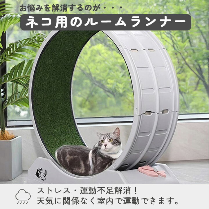 楽天市場】運動不足解消 キャットホイール 直径80cm ルームランナー 猫 