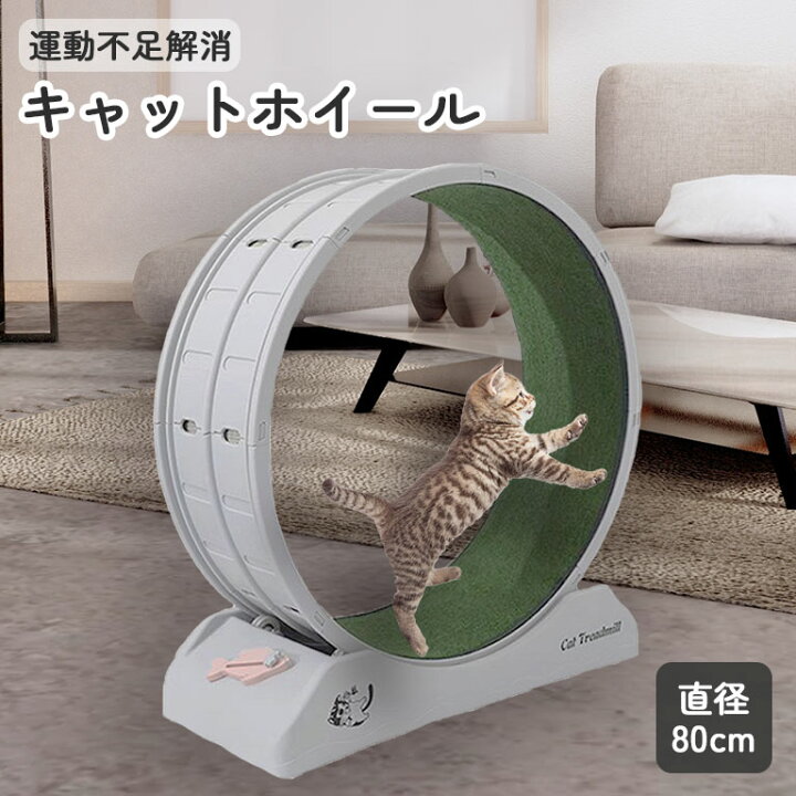 楽天市場】運動不足解消 キャットホイール 直径80cm ルームランナー 猫 