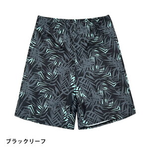 Ci[ ̂т̂ T[tpc  Lk n LbY j̎q V[gpc XCpc r[`  p n[tpc sp018 scΏ