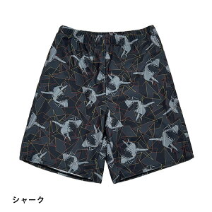 Ci[ ̂т̂ T[tpc  Lk n LbY j̎q V[gpc XCpc r[`  p n[tpc sp018 scΏ