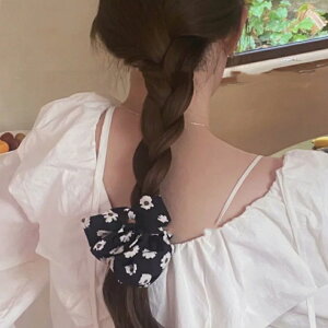 t[VV wAS ԕ {[  l fB[XwAANZT[