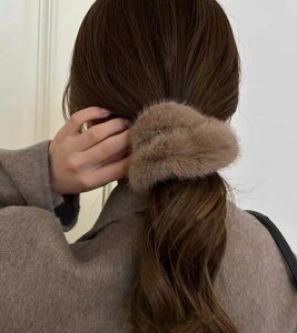 t@[wAS VV ӂӂ H~  l Vv fB[XwAANZT[