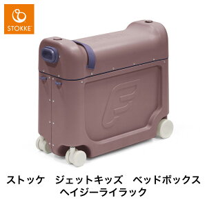 VF WFbgLbYy XgbP K̔X 2Nۏ؁z JETKIDS xbg{bNX q ǂ  X[cP[X L[P[X @ ȈՃxbh xr[xbh s@ u d 