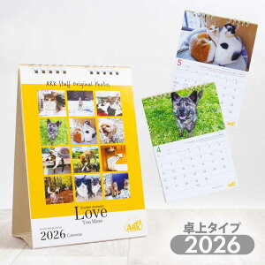 ARK A[N J_[ 2026 Aj}t[W֐ ی쌢 یL ʐ^ {eBA ی t y[OKz