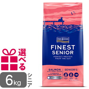 �yP10�{�z �t�B�b�V��4�h�b�O �t�@�C�l�X�g �T�[���� �V�j�A ���� 6kg �O���C���t���[ FISH4DOG �������� �I�ׂ邨�܂��t omkb
