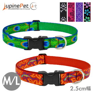 yubNtCf[ |Cg7{z^  iC ^b` pC AWX^uJ[ 2.5cm M/L ܂40.6-71.1cm obN  Lupine Pet COuh Ai y[