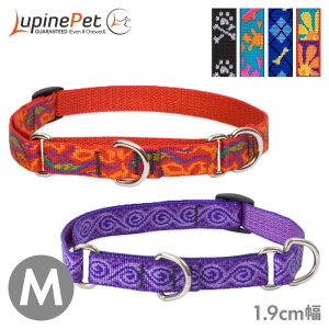 ^  iC n[t`[N pC R{J[ 1.9cm M }[`Q[ 㓪܂35.5-50.8cm  Lupine Pet COuh Ai y[OKz