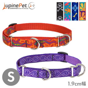 ^  iC n[t`[N pC R{J[ 1.9cm S }[`Q[ 㓪܂25.4-35.5cm  Lupine Pet COuh Ai y[OKz