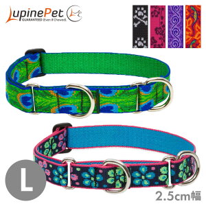 ^  iC n[t`[N pC R{J[ 2.5cm L }[`Q[ 㓪܂48.3-68.5cm  Lupine Pet COuh Ai y[OKz