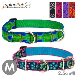 ^  iC n[t`[N pC R{J[ 2.5cm M }[`Q[ 㓪܂38.1`55.8cm  Lupine Pet COuh Ai y[OKz