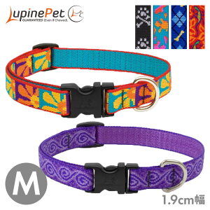 ^  iC ^b` pC AWX^uJ[ 1.9cm M ܂33-55.8cm obN  Lupine Pet COuh Ai y[OKz