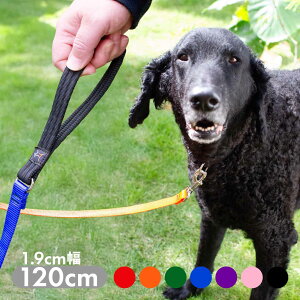 yubNtCf[ |Cg7{zpC x[VbN\bY NbVtnh[h 1.9cm 120cm ^ iC COuh Ai [OK