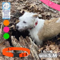 小型犬 首輪 防水 ワンタッチ ルパイン スプラッシュ アジャスタブルカラー 1.9cm幅 W19-S,W19-M アメリ…