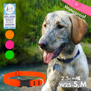 ^  h ^b` pC XvbV AWX^uJ[ 2.5cm W25-S,W25-M AJ COuh Ai [OK