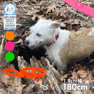 ^ ^ [h h 180cm pC XvbV [h 1.9cm AJ COuh Ai [OK