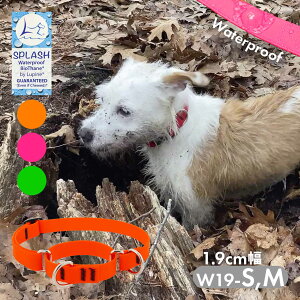 ^ ^  h n[t`[N pC XvbV }[`QJ[ 1.9cm W19-S,W19-M AJ COuh Ai [OK