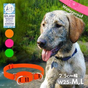 ^  h n[t`[N pC XvbV }[`QJ[ 2.5cm W25-M,W25-L AJ COuh Ai [OK