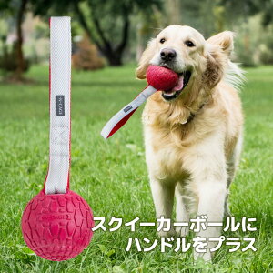 yX[p[SALE 32%OFFz^  nht{[ N-GAGE nh[ M[ bh XNC[J[ ^ VRS v  COuh Ai ɂ