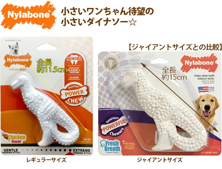 楽天市場】Nylabone ナイラボーン デンタルチュウ ダイナソー レギュラーサイズ 犬 小型犬 噛む おもちゃ 硬質ナイロン 輸入 : Dear Dogs 犬のセレクトショップ 楽天市場】Nylabone ナイラボーン デンタルチュウ ダイナソー レギュラーサイズ 犬 小型犬 噛む おもちゃ 硬質ナイロン 輸入 : Dear Dogs 犬のセレクトショップ