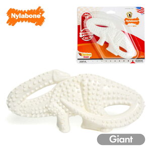 yX[p[SALEzz ނ  iC{[ _Ci\[ WCAgTCY   ^ ^  diC AJ Nylabone COuh Ai ɂ