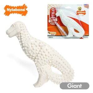  ނ  iC{[ _Ci\[ WCAgTCY   ^ ^  diC AJ Nylabone COuh Ai ɂ iiko