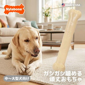 【スーパーSALE★クーポン対象】犬 噛むおもちゃ ナイラボーン デュラチュウ ボーン ジャイアントサイズ 大型犬 中型犬 頑丈 アメリカ製 Nylabone 海外ブランド 輸入品 【メール便OK】 0604