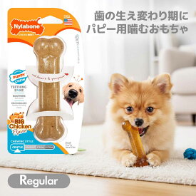 子犬 噛むおもちゃ Nylabone ナイラボーン パピーチュウ ボーン レギュラーサイズ 小型犬 パピー アメリカ製 骨型 輸入品【メール便OK】 oyom
