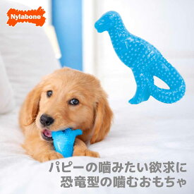 【スーパーSALE★クーポン対象】子犬 噛むおもちゃ ナイラボーン パピーチュウ ダイナソー おもちゃ 頑丈 壊れにくい Nylabone 海外ブランド 輸入品 0604
