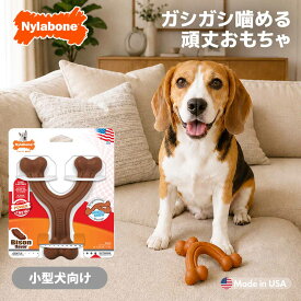 犬 噛むおもちゃ 長持ち ナイラボーン パワーチュウ エルゴノミックウィッシュボーン レギュラーサイズ 小型犬 中型犬 頑丈 おもちゃ アメリカ製 Nylabone 海外ブランド 輸入品