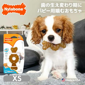 【スーパーSALE★クーポン対象】子犬 噛むおもちゃ Nylabone ナイラボーン パピーチュウ リングボーン XS 超小型犬 小型犬 犬用おもちゃ 輸入品 メール便OK oyom 0604