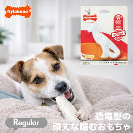 【スーパーSALE★クーポン対象】犬 噛むおもちゃ 長持ち ナイラボーン ダイナソー レギュラーサイズ 小型犬 頑丈 おもちゃ 硬質ナイロン Nylabone 海外ブランド 輸入品 壊れにくい 0604