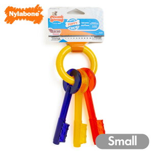 yX[p[SALE |Cg10{z  ނ  iC{[ ps[eB[WOL[ S q ps[  ^  Nylabone COuh Ai ɂ 1204