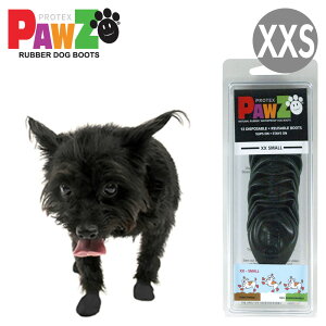 PAWZ o[hbOu[c ubN XXSTCY 12(4{3) ^`^ p u[c |EY pEY AEghA  ی ~ COuh