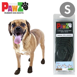 PAWZ o[hbOu[c ubN STCY 12(4{3)^`^ p u[c |EY pEY AEghA  ی ~ COuh