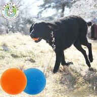 プラネットドッグ スクイークボール 大型犬 おもちゃ レトリーブ 音の鳴るおもちゃ 水に浮く PlanetDog …