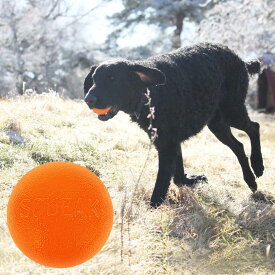プラネットドッグ スクイークボール 大型犬 おもちゃ レトリーブ 音の鳴るおもちゃ 水に浮く PlanetDog 海外ブランド 輸入品 oyom