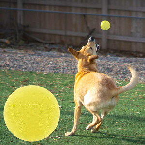 yX[p[SALE |Cg5{z vlbghbO XNC[N{[ ^  g[u ̖邨 ɕ PlanetDog COuh Ai 1204