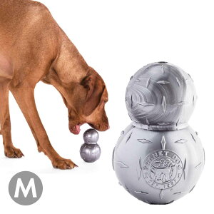   vlbghbO _Chv[g _u^t M Vo[ ^ mgC {[  COuh PlanetDog Ai ɂ iiko