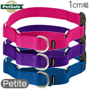 ^  iC n[t`[N ybgZ[t v~AJ[ with NCbNXibv 1cm v` Petite }[`Q[ iC PetSafe COuh Ai [OK